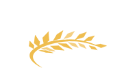 CSA Logo